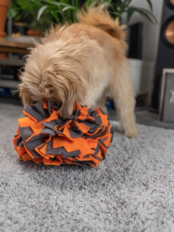 TrendPet Schnüffelball - 25cm Durchmesser, Aktivspielzeug für Hunde, Orange, Orange