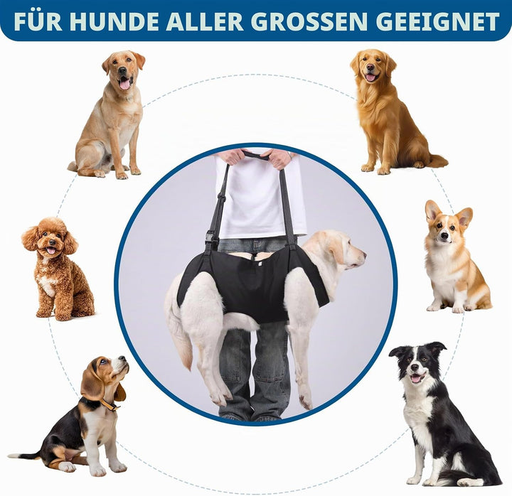 Tragehilfe Hund Gross, Hunde Tragehilfe, Hundehebegeschirr für Behinderte, Verletzte Oder Ältere (M)