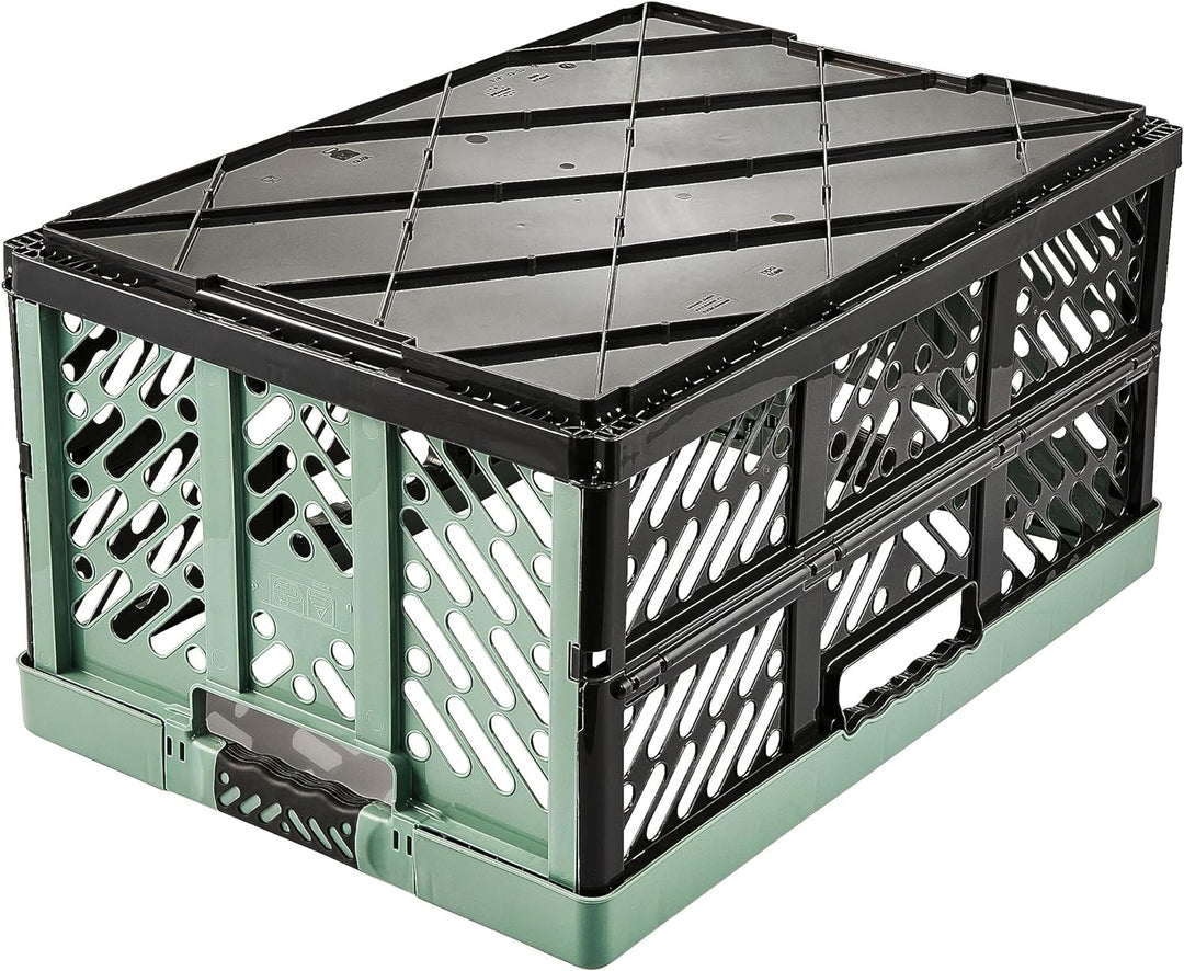 keeeper 2x Stabile Profi-Klappboxen mit Soft-Touch Griffen, 45 l, Ben, Nordic Green (Grün) Nordic Gr