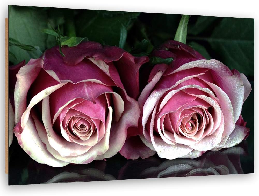 Feeby Dekobild Rose Deko Wand Kunstdruck Blume Violett 70x50 cm M14567 70x50 cm, M14567 70x50 cm