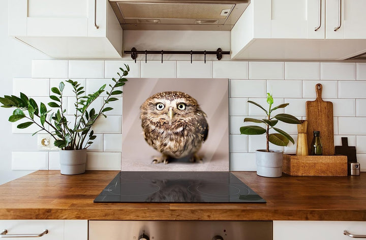 Nachteule mit Blick Herdabdeckplatte & Spritzschutz aus Echtglas | Für Herd-Kochfelder | 60x52 cm