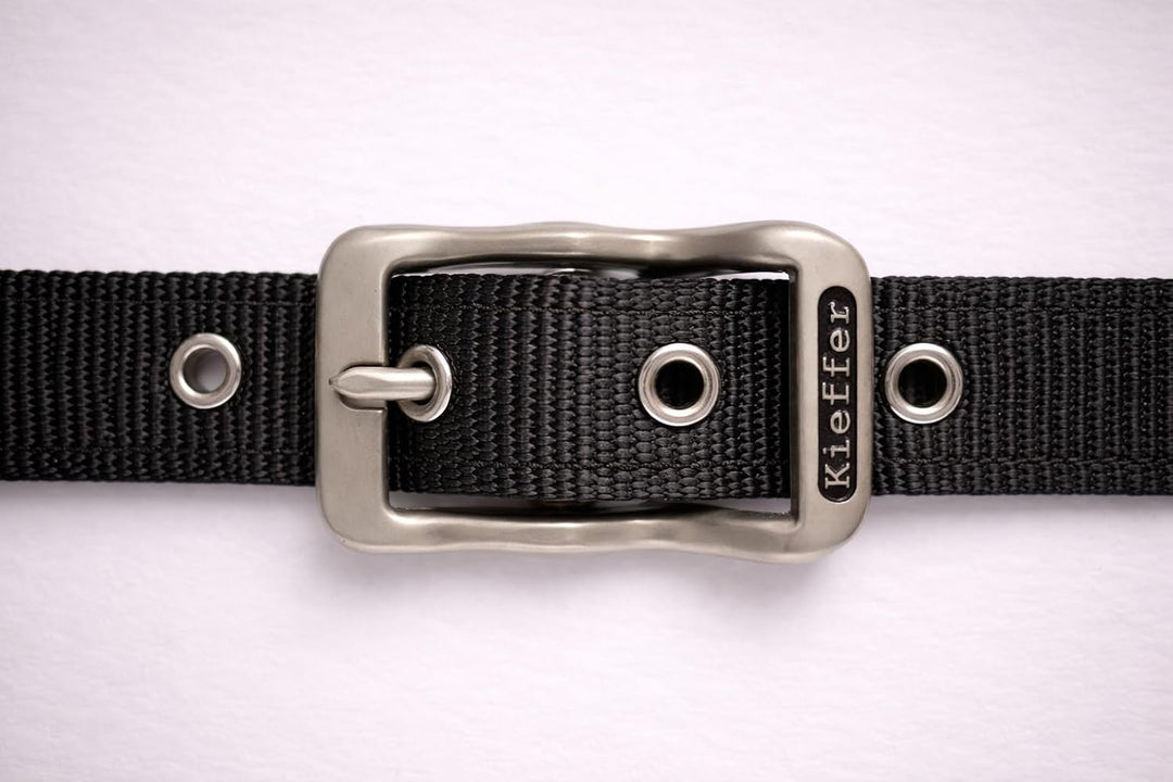 Reinecke Equestrian Premium Leuchthalfter Reflexhalfter Sicherheitshalfter Stallhalfter Weidehalfter