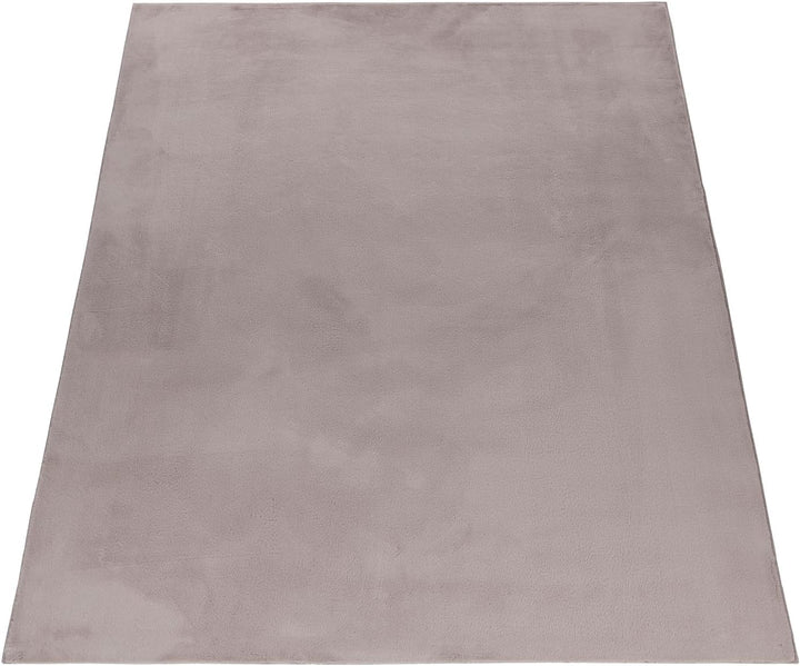 Carpetsale24 Teppich Wohnzimmer Einfarbig Modern Design 160 x 230 cm Beige - Hochflor Teppich Schlaf
