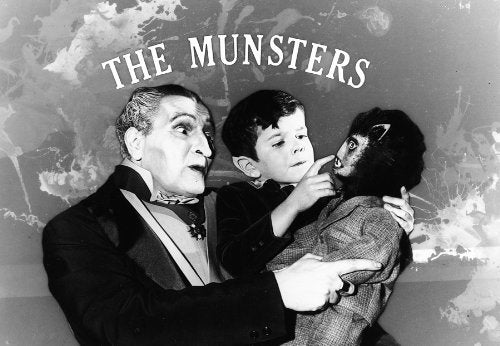 Die Munsters - Die komplette Serie [14 DVDs], DVD