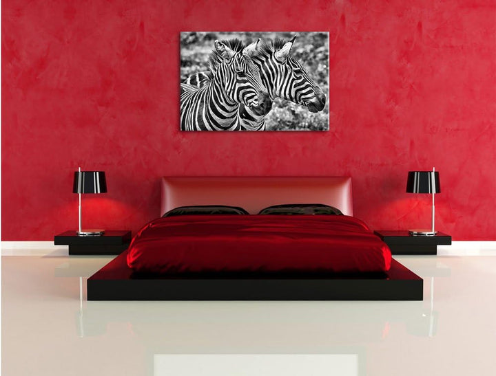 Pixxprint Monocrome, schönes Zebrapaar, Format: 100x70 auf Leinwand, 100x70