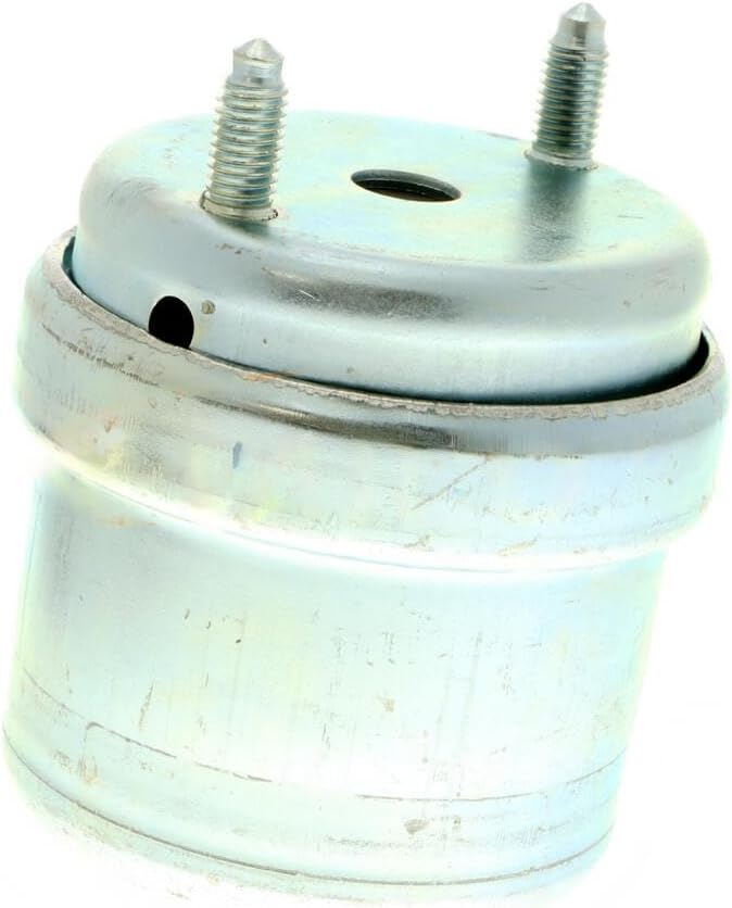 VAICO V10-8209 Lagerung, Motor