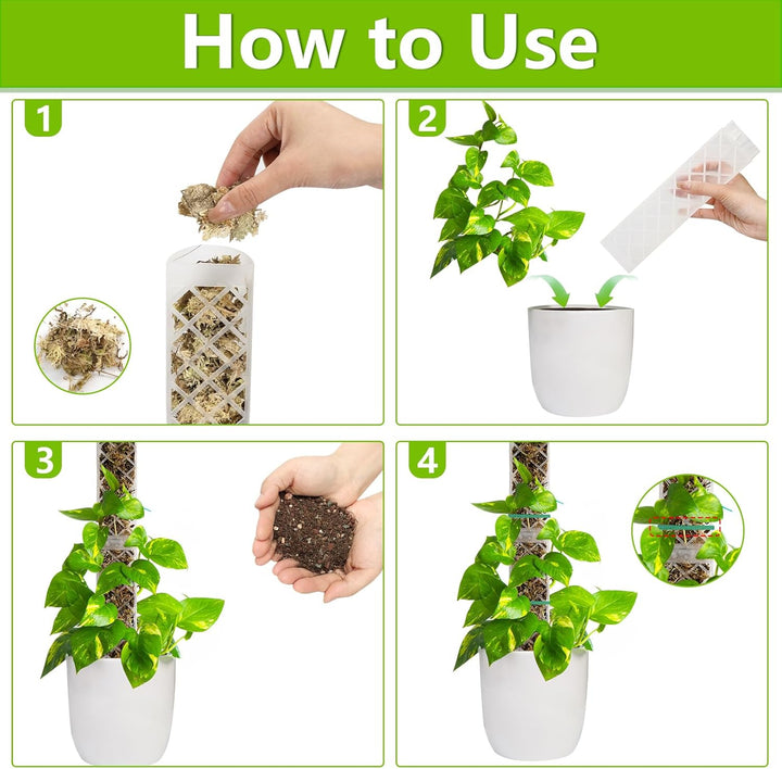 Moosstab für Monstera Rankhilfe Zimmerpflanzen Zubehör Set, 4 Stück 35cm (Moosstab + Bodeneinführung