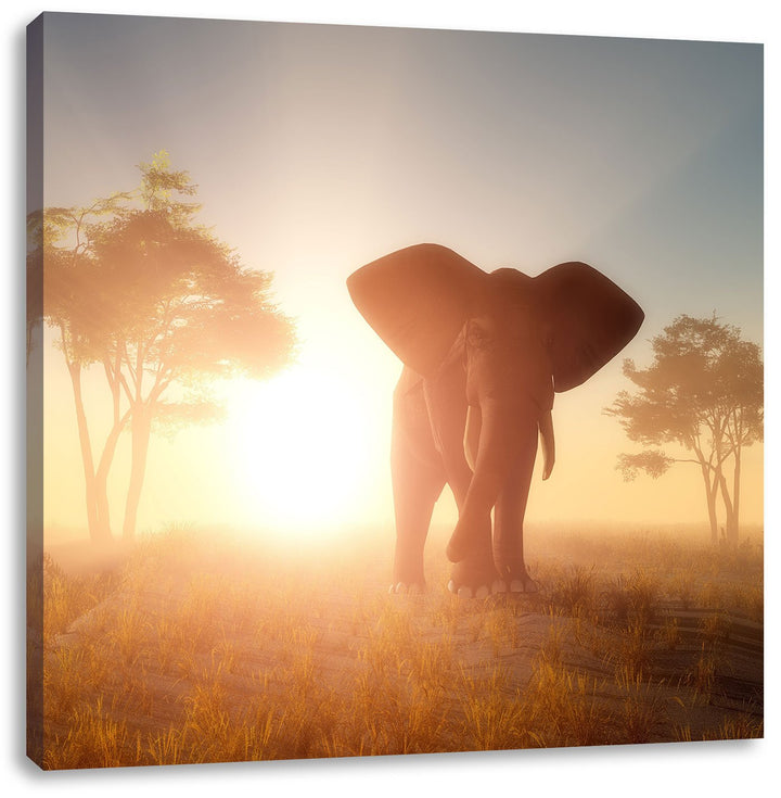 Pixxprint Grosser afrikanischer Elefant in der Wüste, Format: 70x70 auf Leinwand, 70x70