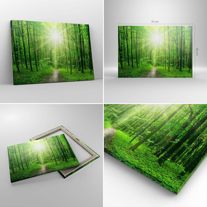 Bilder auf Leinwand Sonnenstrahlen Wald Sommer Leinwandbild 70x50cm Wandbilder Dekoration Wohnzimmer