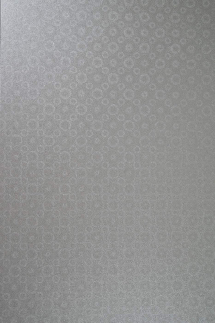 Netuno 100x Bastelkarton Perlmutt-Silber DIN A4 210x 297 mm 250g Aster Metallic Silver Disco Pearlka