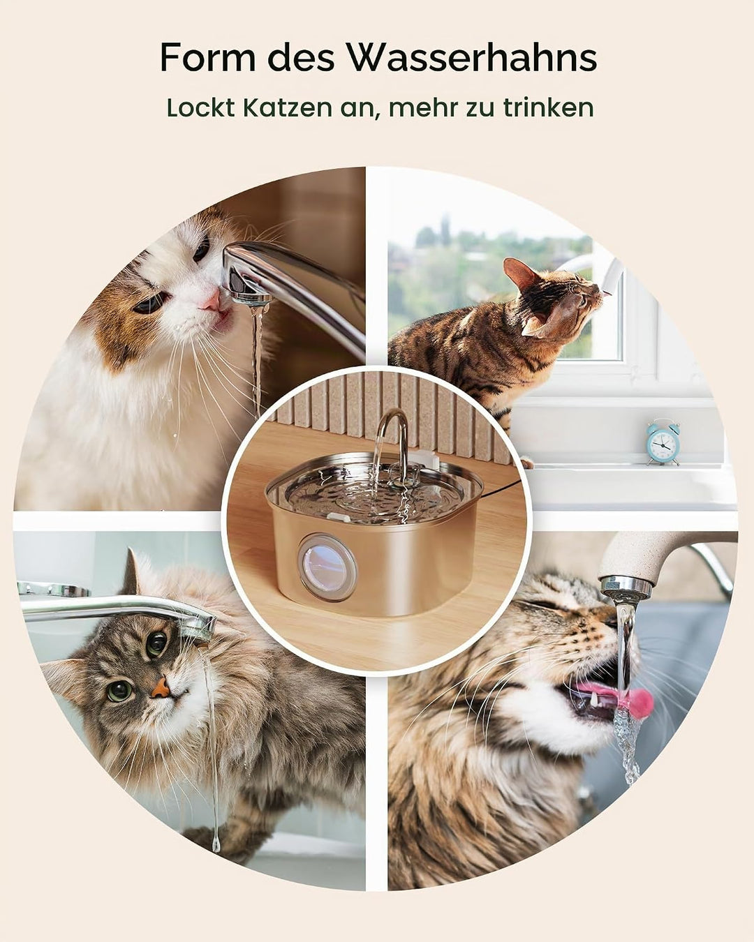 PEKTACO 3.2L Katzen Trinkbrunnen mit Sichtfenster – Edelstahl-Trinkbrunnen für drinnen, Wasserspende