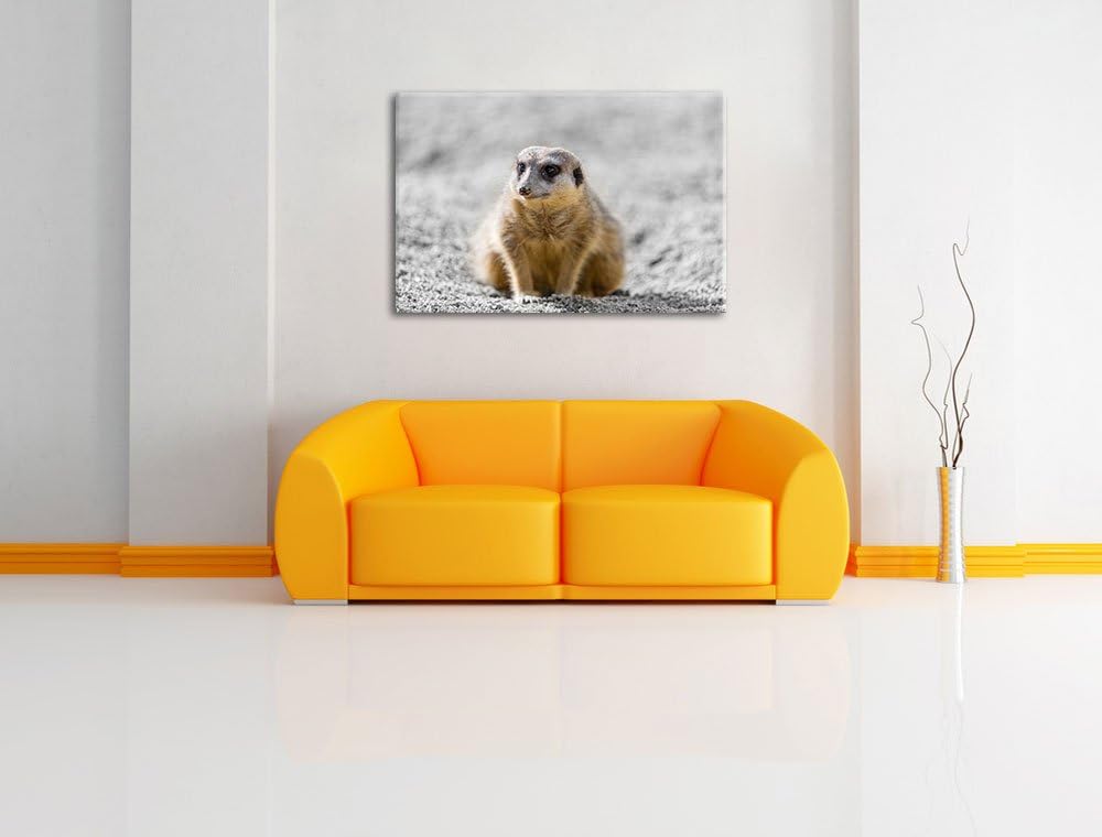 schüchternes Erdmännchen schwarz/weiss auf Leinwand, XXL riesige Bilder fertig gerahmt mit Keilrahme