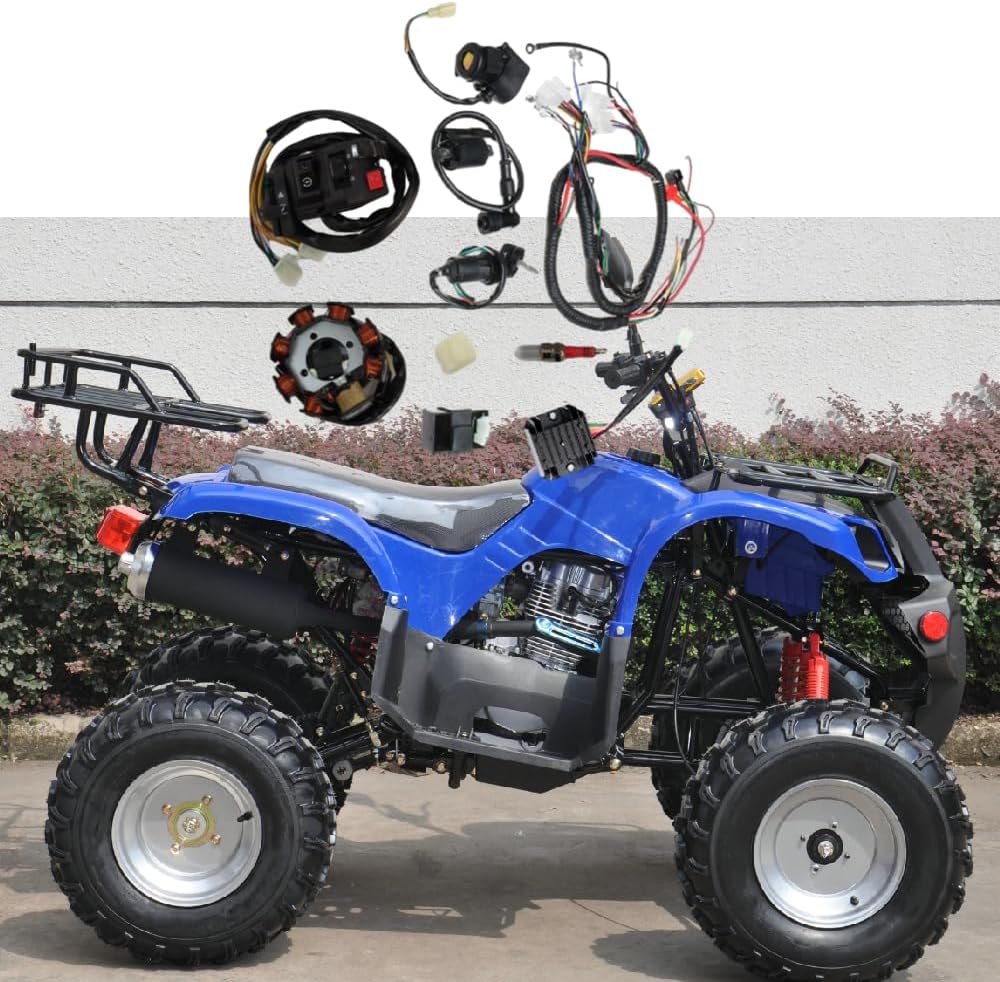 Riloer Komplettes Kabelbaum-Kit Drahtwebstuhl Elektrik Statorspule CDI Fit für chinesisches Dirtbike