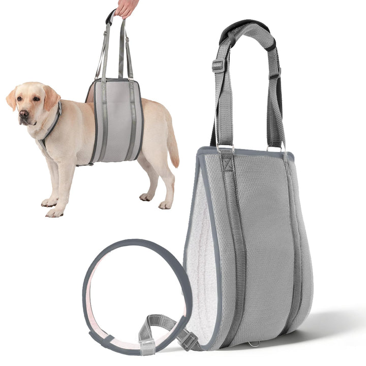 LUCKY LUCY Hundegeschirr mit Griff, Verstellbare Hunde-Tragehilfe für Hinterbeine & Nacken-Stütze, M