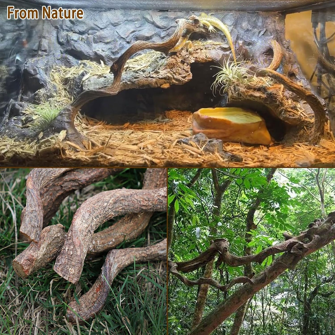 Reptilienholzzweig Eidechse Kletterreben Schlange Terrarium Dekor Gecko Tank Habitat Dekorationen fü