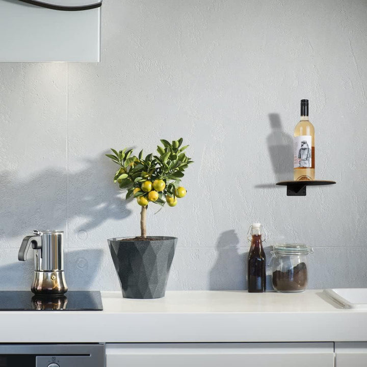 1x Wall Stair DOT Wandstufe Katzentreppe Klettersystem für Haustiere, belastbare, stabile Ablage/Pla