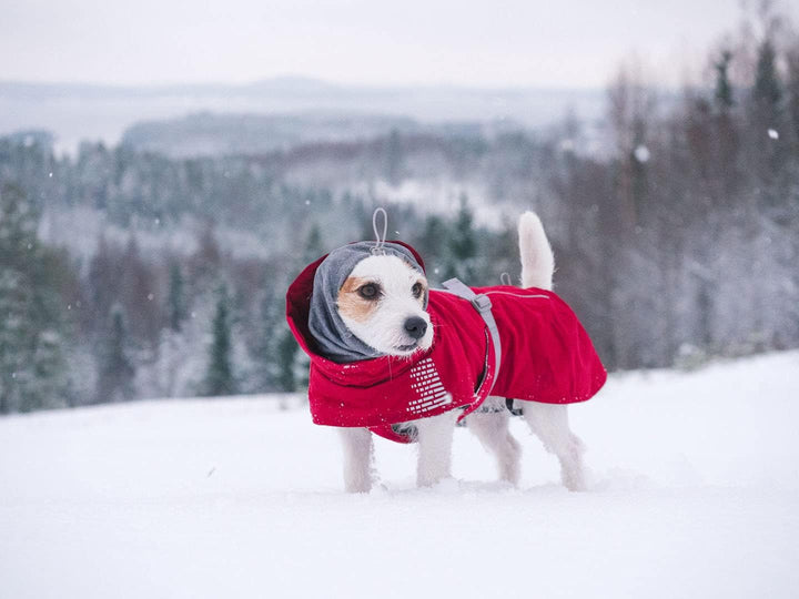 Hurtta Extreme Warmer Hundemantel, Winterjacke für Hunde Weinrot 40 cm