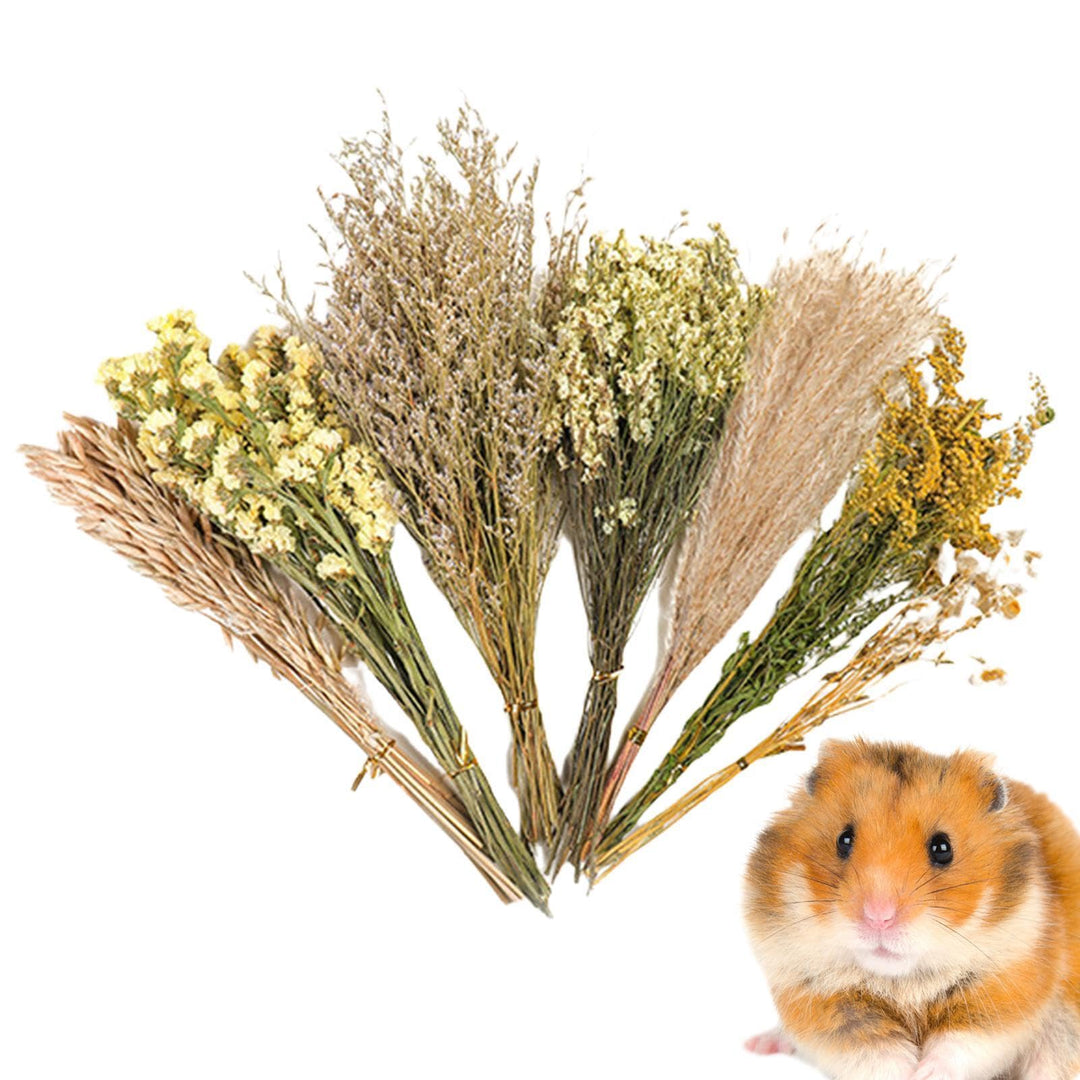 Hamster-Blumeneinstreu, Kleintier-Blumen, Lebensraum-Dekoration, Mäuse, Lebensraum, Dekoration, natü