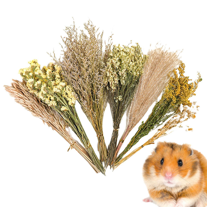 Hamster-Blumeneinstreu, Kleintier-Blumen, Lebensraum-Dekoration, Mäuse, Lebensraum, Dekoration, natü