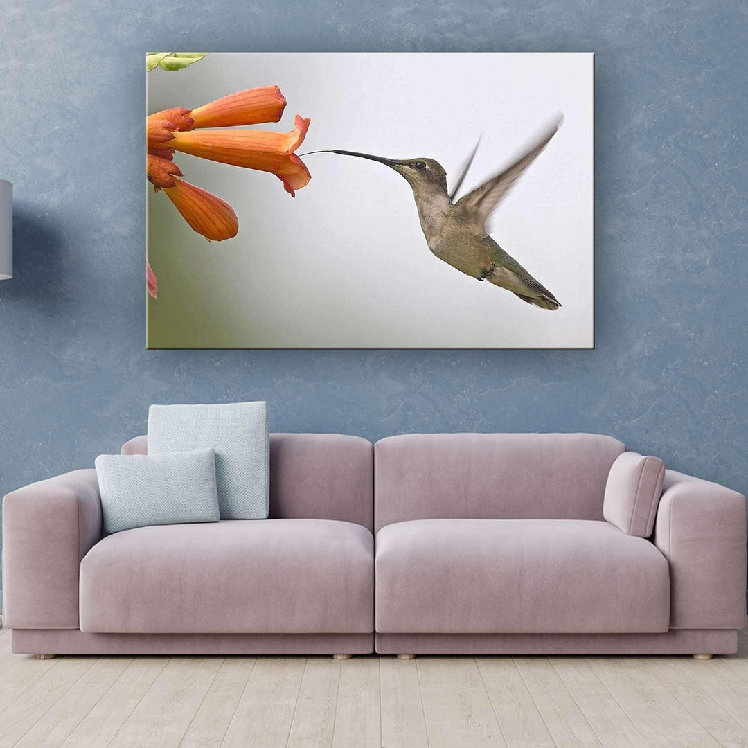 Startonight Bilder Netter Kolibri, Leinwandbilder Moderne Kunst, Vögel Wanddeko Kunstdrucke, Wandbil