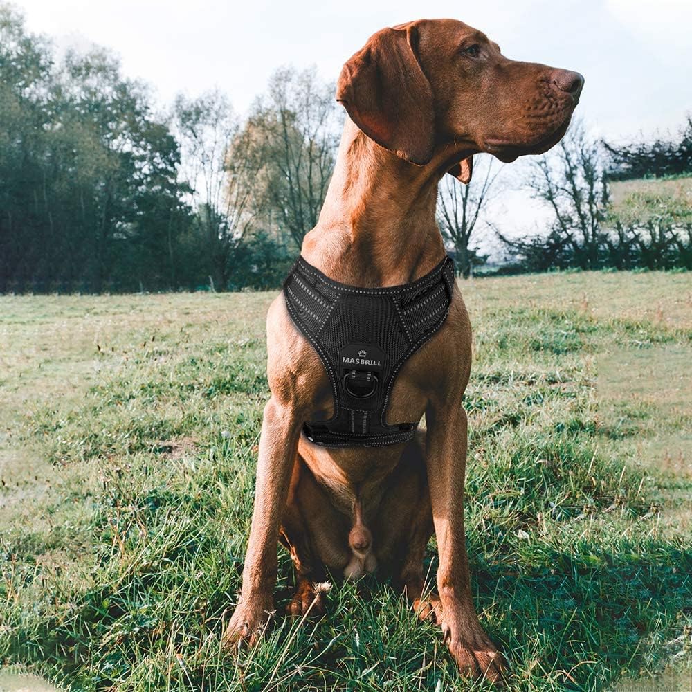MASBRILL Hundegeschirr Grosse Hunde, Anti Zug Geschirr Hunde Brustgeschirre Einstellbar und Reflekti
