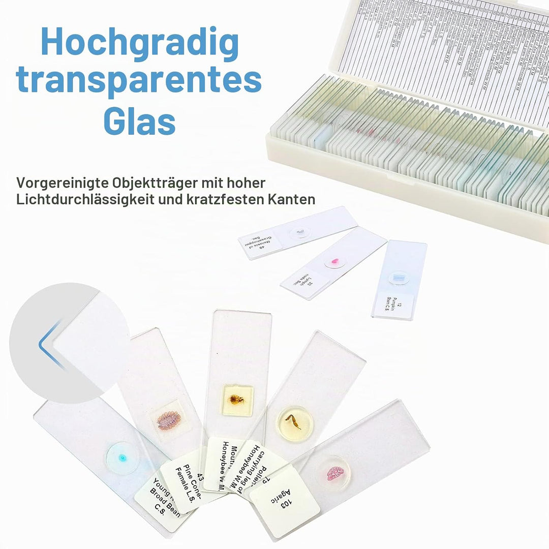 60 Mikroskop Objektträger mit Biologischen Proben, Mikroskop Objektträger Präparate Glas Kinder Stud
