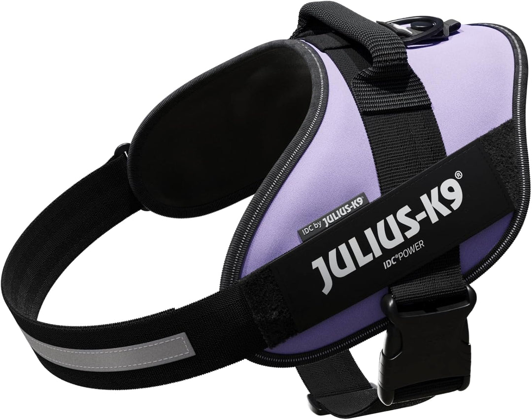 Julius-K9, IDC Powergeschirr, Grösse: XL / 2, Lila Lila XL / 2, Lila XL / 2
