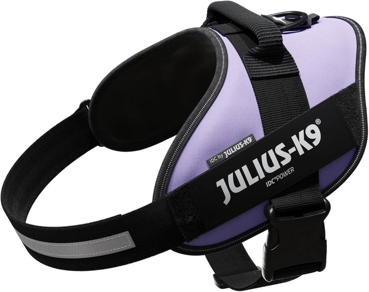 Julius-K9, IDC Powergeschirr, Grösse: XL / 2, Lila Lila XL / 2, Lila XL / 2