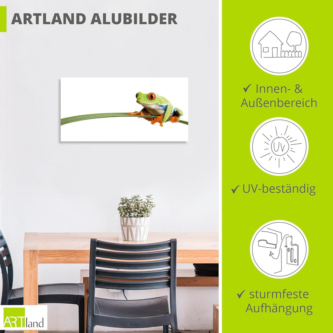 ARTland Wandbild Alu Verbundplatte für Innen & Outdoor Bild 60x30 cm Frosch Tiere Natur Pflanze Blät