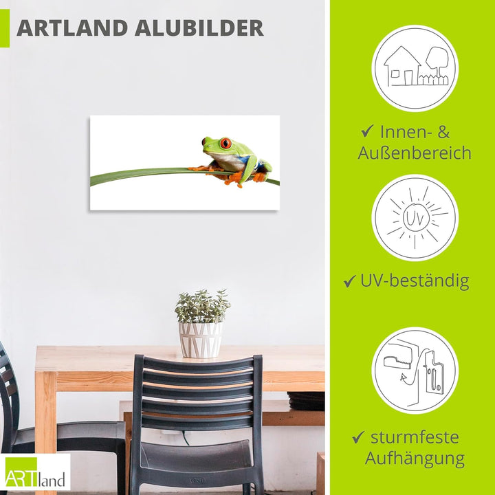ARTland Wandbild Alu Verbundplatte für Innen & Outdoor Bild 60x30 cm Frosch Tiere Natur Pflanze Blät
