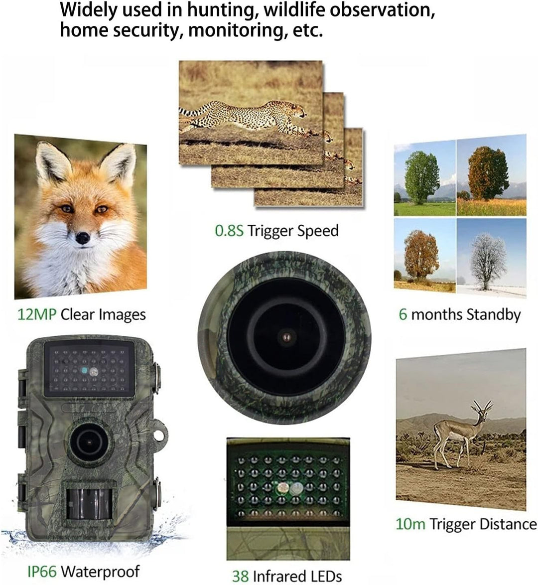 Wildkamera, Wildkamera, 1080P, Wasserdichte Bauernhof- und Hofkamera mit 38 LEDs für Heimüberwachung