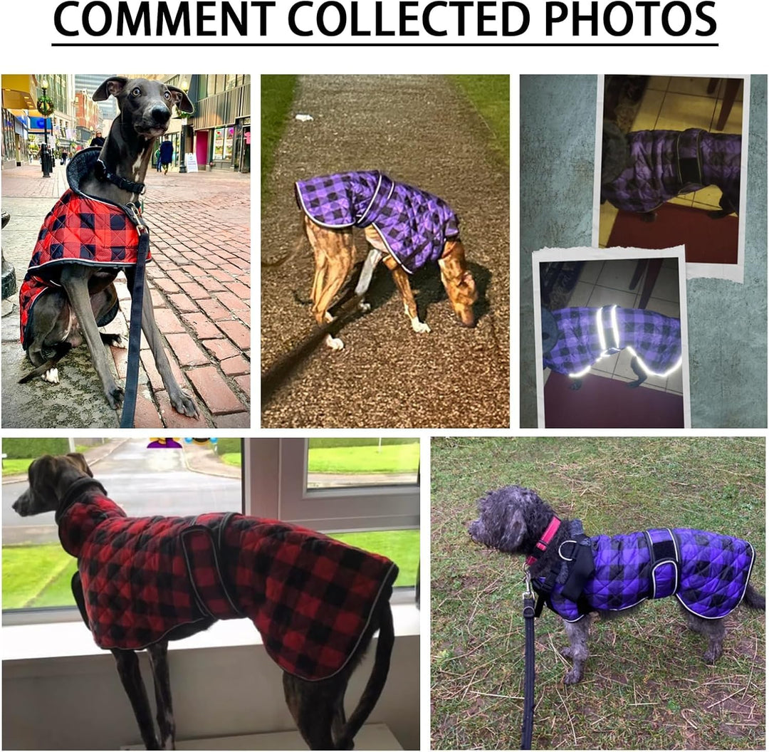 Geyecete Wasserdichter Hundemantel,Windhund Mantel,Whippet Hundejacke Winter,mit Warmem Fleecefutter