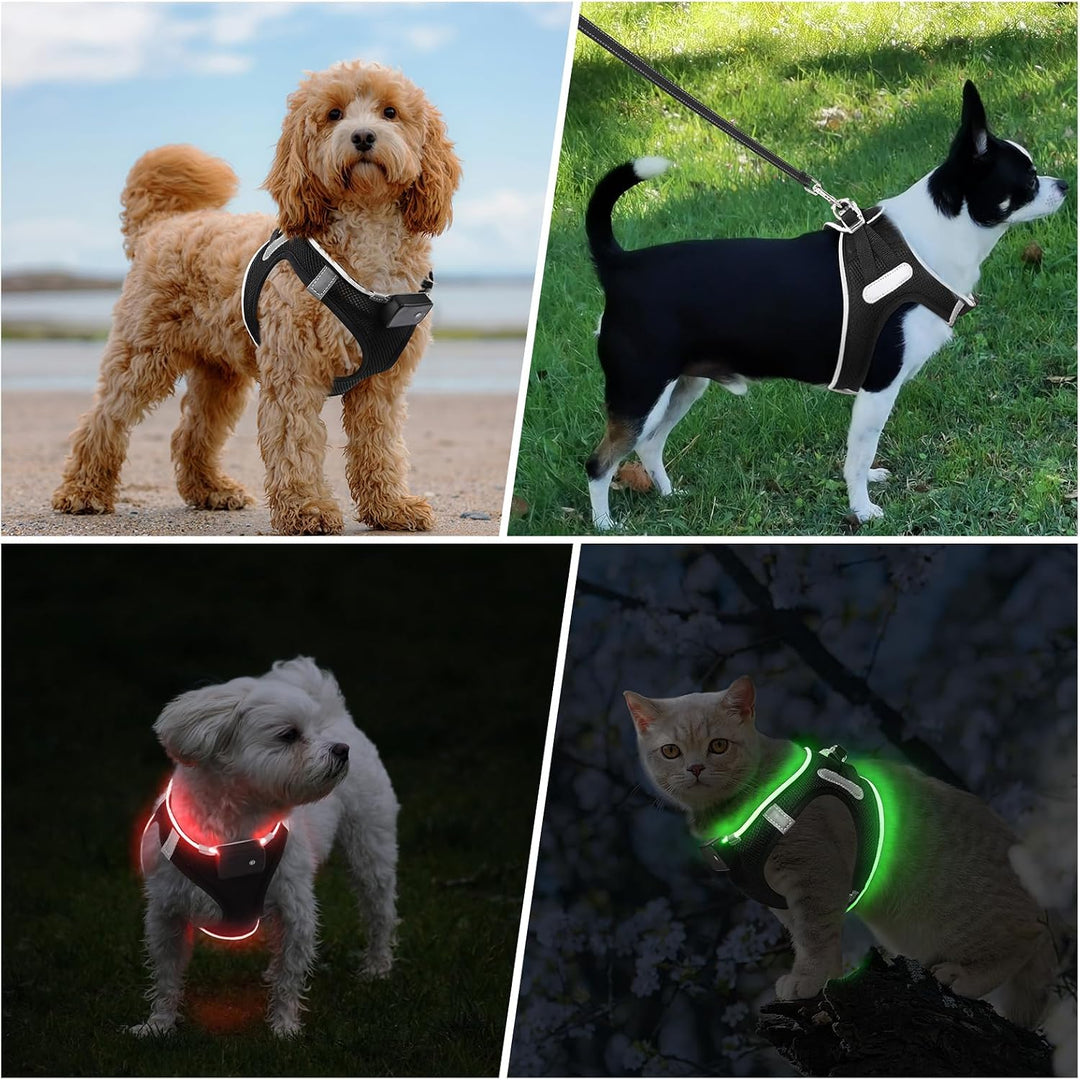 PcEoTllar Hundegeschirr Leuchtend USB Aufladbar Reflektierendes Leuchtgeschirr LED Leucht Brustgesch