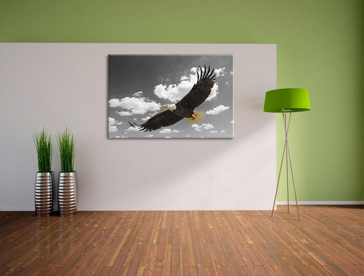 prächtiger Weisskopfseeadler beim fliegen schwarz/weiss Format: 100x70 auf Leinwand, XXL riesige Bil