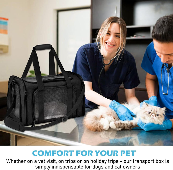 BYZESTY Transportbox Katze Hund Katzentransportbox Hundebox Faltbar Hundetransportbox Katzen Transpo