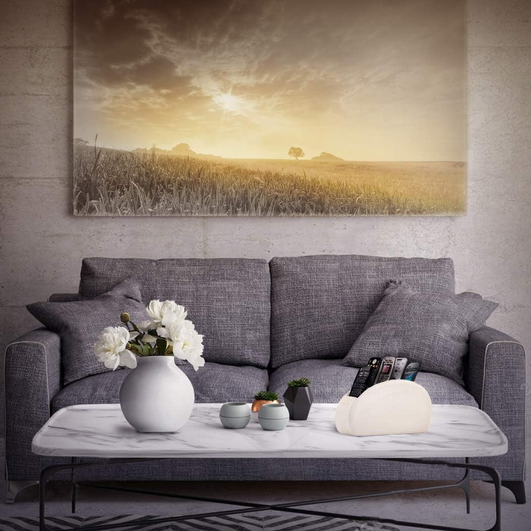 Londo Range Télécommandes à 5 Compartiments - DVD, Blu-Ray, TV, Chaîne Hi-Fi, Roku ou Apple TV - Cui