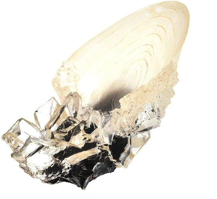 The Noble Collection France Noble Collection  Der Kristallbecher aus der Höhle, NN1009, Weiss