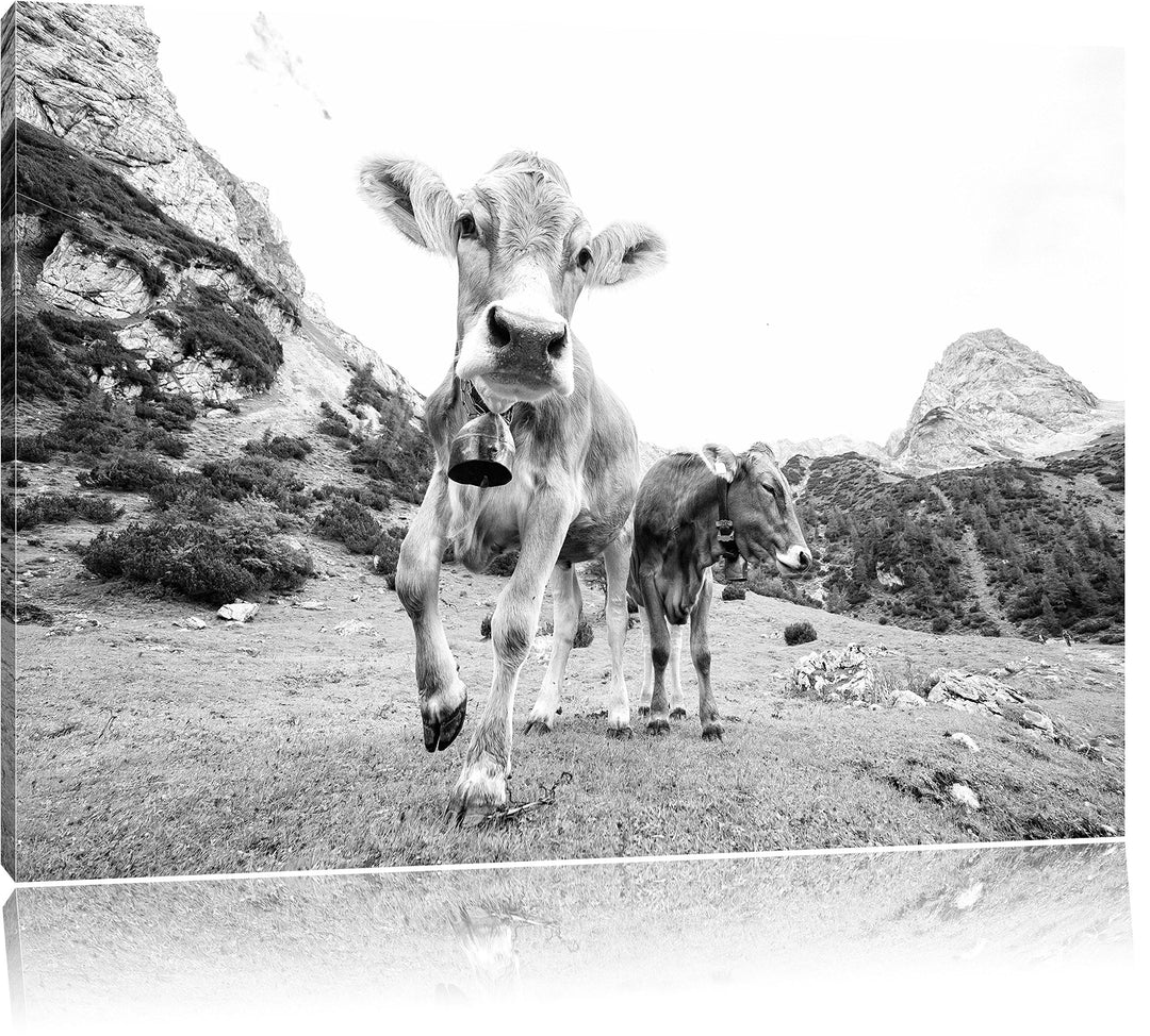 Pixxprint Almkuh auf der Weide Kunst B&W als Leinwandbild/Grösse: 100x70 / Wandbild/Kunstdruck/ferti