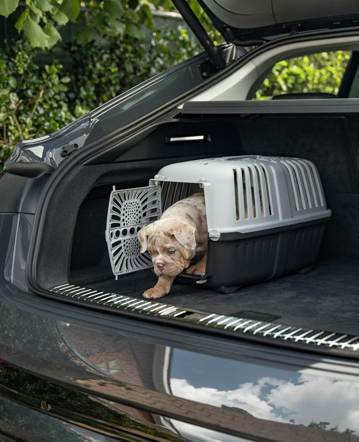 lionto Tiertransportbox für Hunde &amp; Katzen, bis 15 kg, 48x31,5x33 cm, Grau | Kunststoffbox aus robus