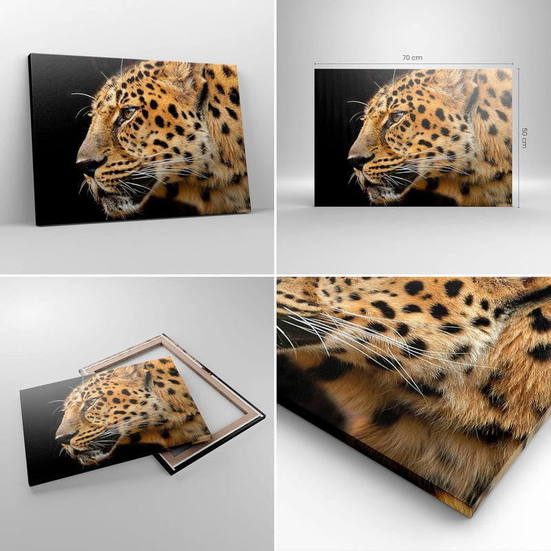 Bilder auf Leinwand Tiere Leopard wilde Katze wilde Tiere Leinwandbild 70x50cm Wandbilder Dekoration