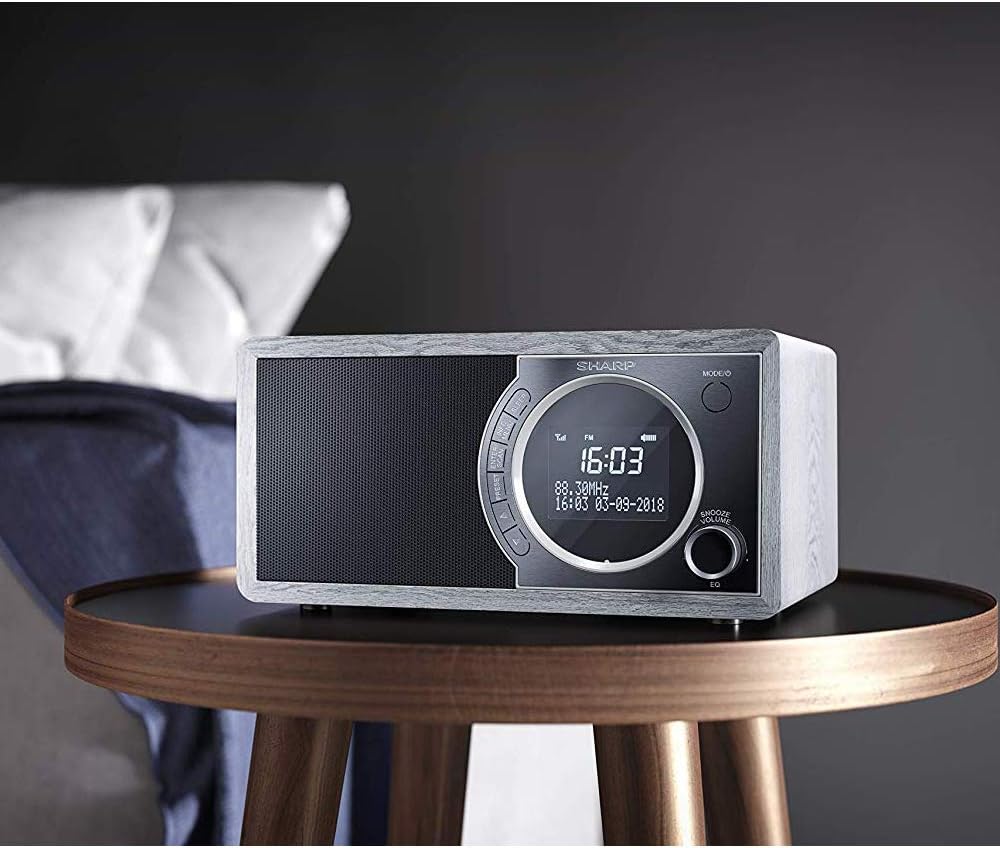 SHARP DR450 Digitalradio (DAB/DAB+/FM mit RDS, Bluetooth, Wecker-Funktionen, 6 Watt), grau Mono Digi
