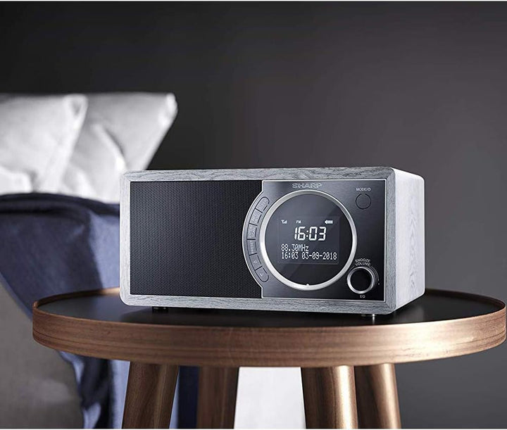 SHARP DR450 Digitalradio (DAB/DAB+/FM mit RDS, Bluetooth, Wecker-Funktionen, 6 Watt), grau Mono Digi
