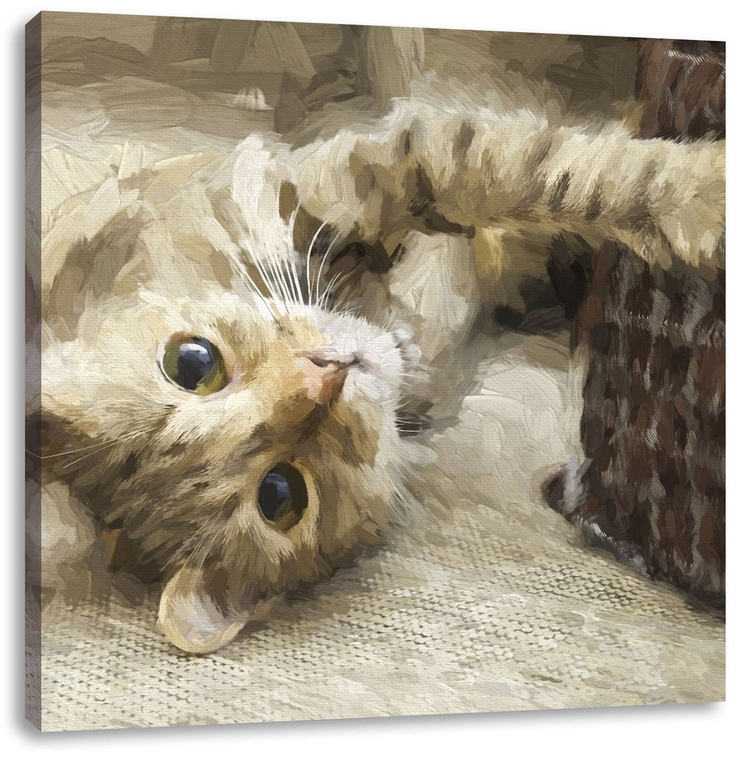 Pixxprint Katze streckt Sich als Leinwandbild Quadratisch/Grösse: 70x70 / Wandbild/Kunstdruck/fertig