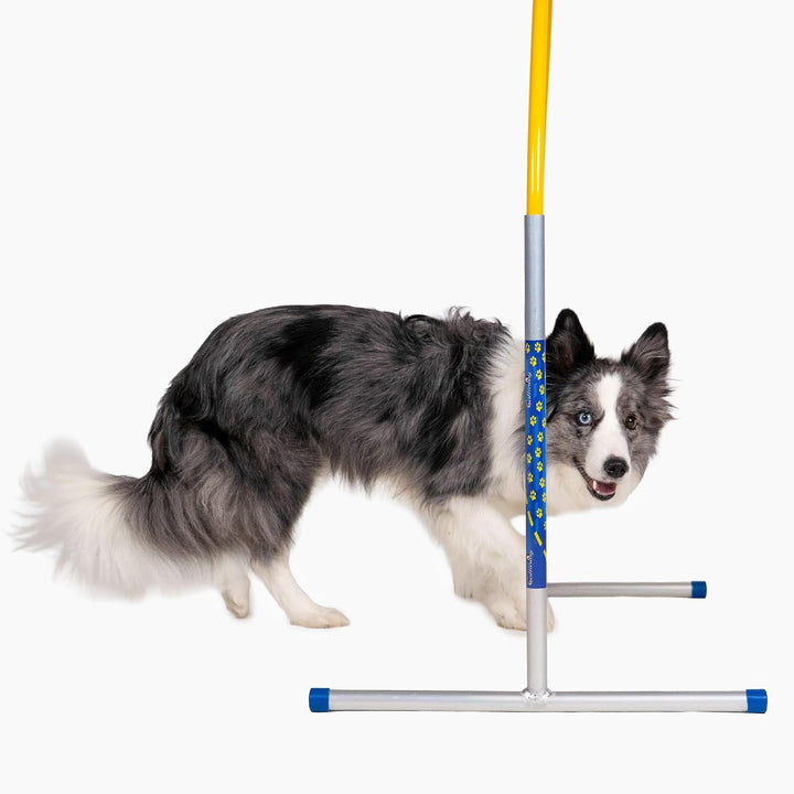 Callieway Hoopers Agility Hoops aus Aluminium, 6er Set ohne Mittelstrebe, frei formbar & universell