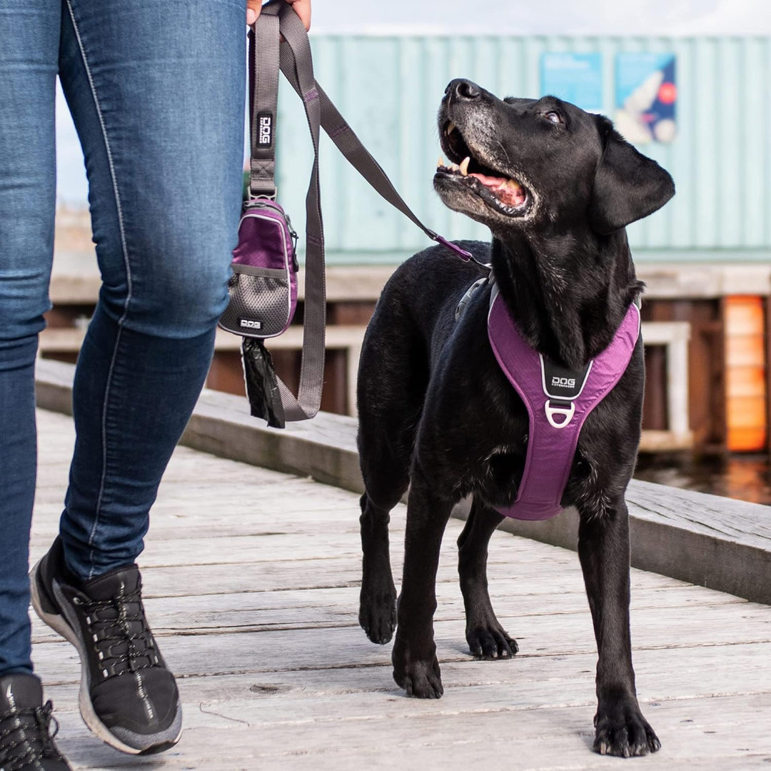 DOG Copenhagen Hundeleine V2 Urban Trail Leash Black Grösse S