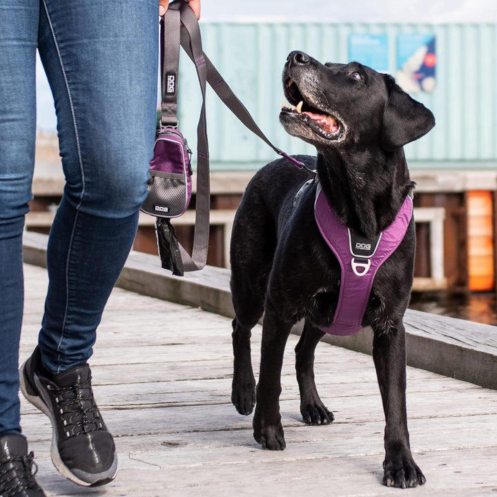 DOG Copenhagen Hundeleine V2 Urban Trail Leash Black Grösse S