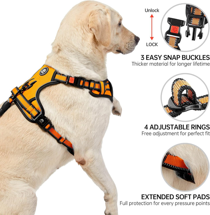 NESTROAD Hundegeschirr Grosse Hunde Leine Geschirrset Orange, Grösse L für Hunde Grosse mit Halsumfa