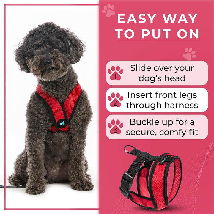 Gooby Comfort X-Geschirr, Rot, Grösse S (29,8–39,4 cm) Small (5-9 lbs) rot, Small (5-9 lbs) rot