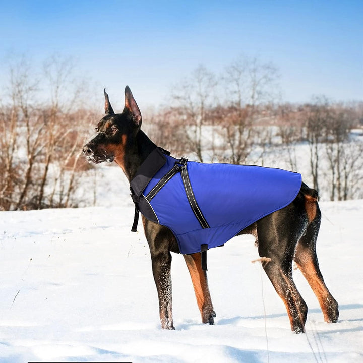 Buddypuppy Hundemantel Winter, Warme Hundejacke Wasserdicht mit Geschirr für Mittel und Grosse Hunde