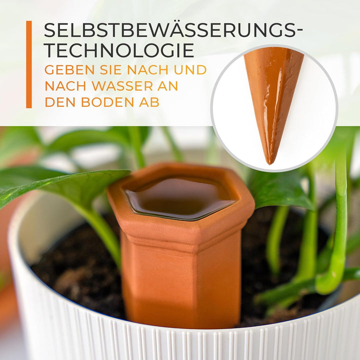 TIMELEOS Tonkegel Bewässerung, Wasserspender Pflanzen als Giesskegel, ideal für Pflanzen Bewässerung